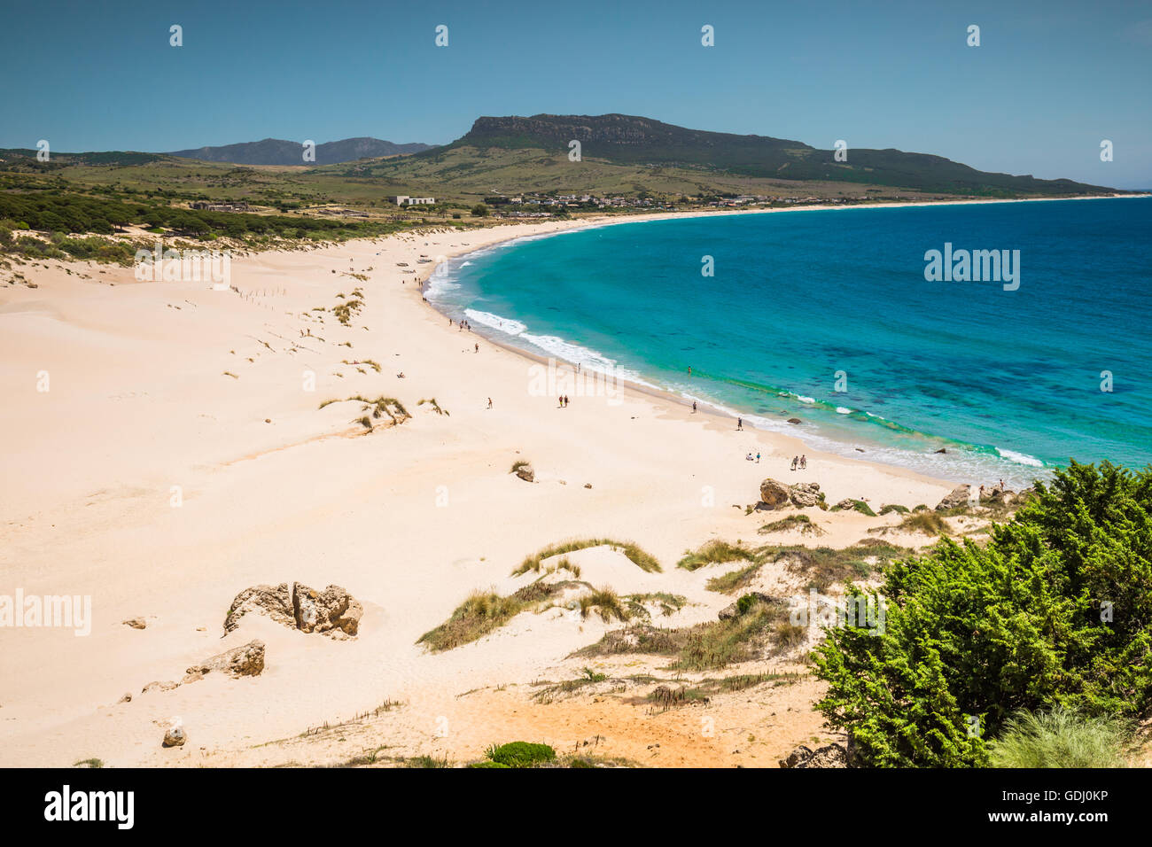 Dune de sable de plage de Bolonia, province de Cadix, Andalousie, Espagne Banque D'Images