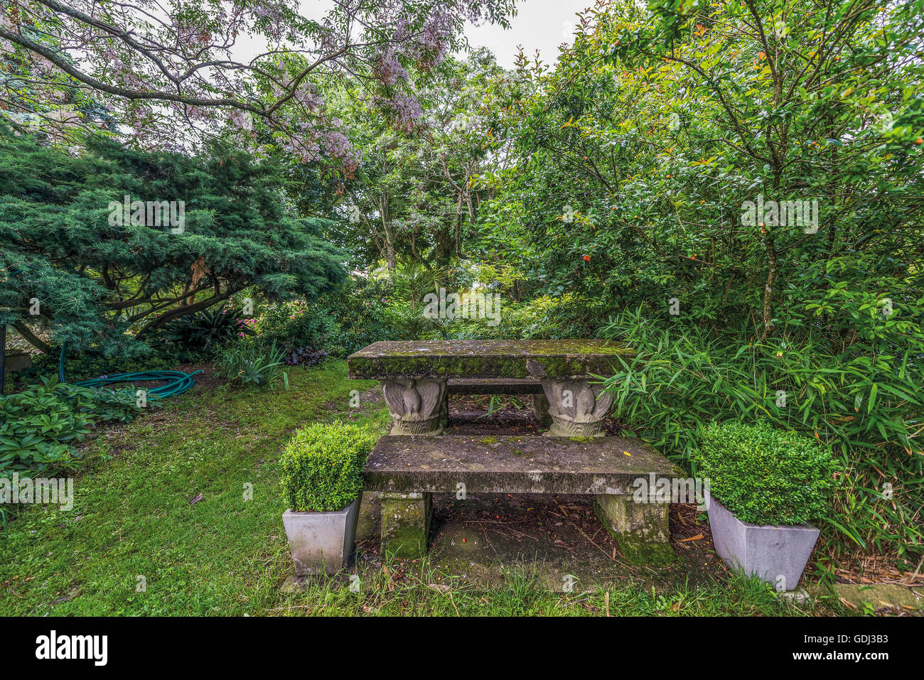 Jardin de Château Raymond-Lafon, Sauternes, Gironde, France Banque D'Images