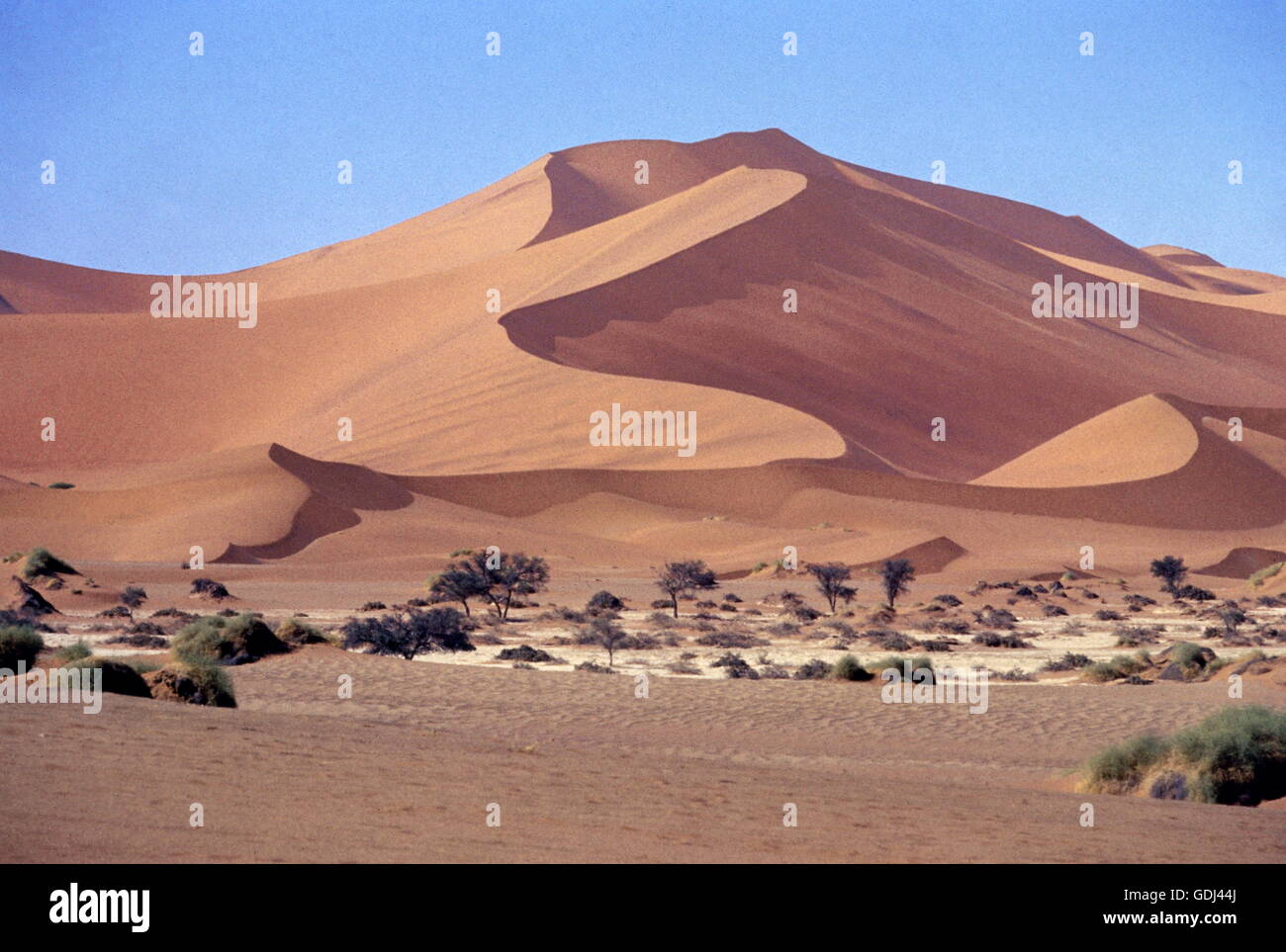 Géographie / voyage, Namibie, paysages, Désert du Namib, Sossusvlei, pan Banque D'Images