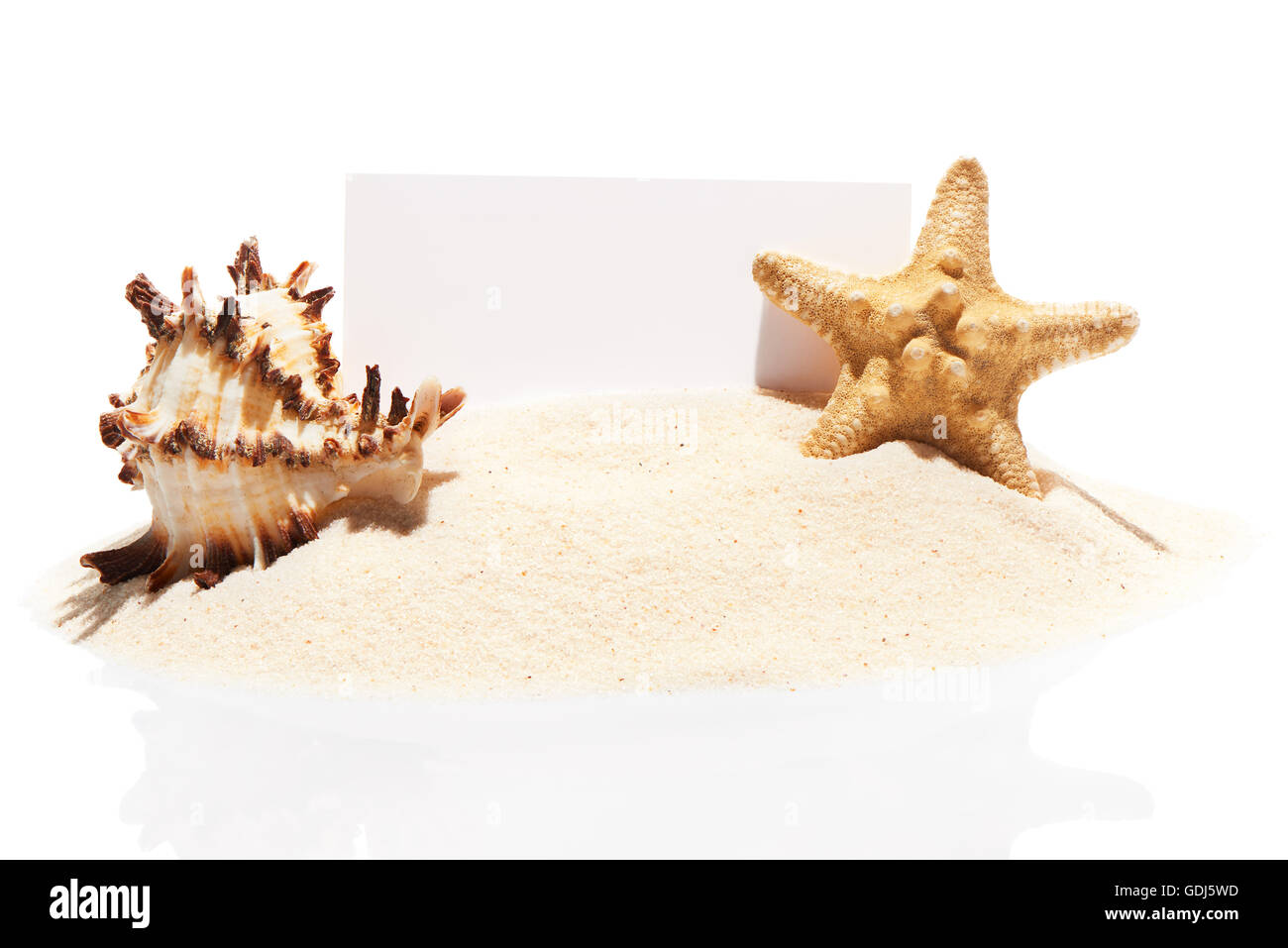 Carte de visite blanche avec étoile de mer et shell sur tas de sable de plage, isolé sur fond blanc Banque D'Images