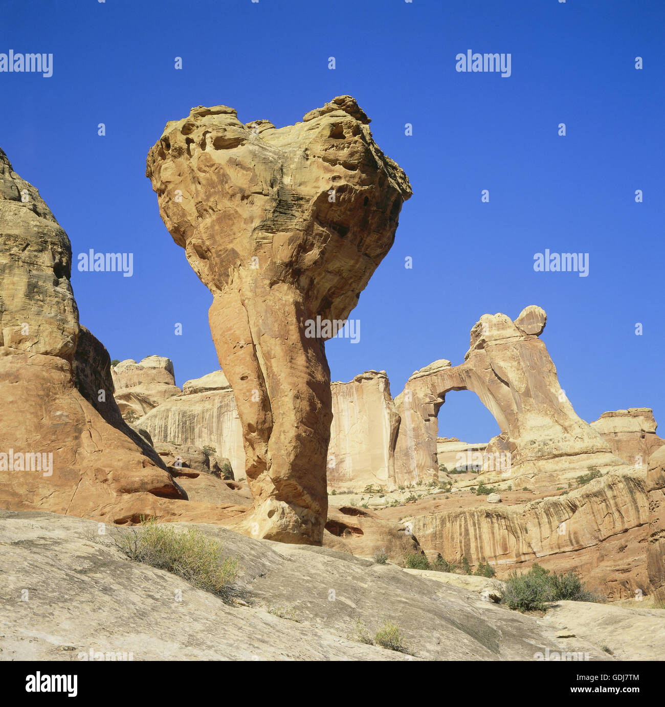 Géographie / voyage, États-Unis d'Amérique, de l'Utah, Canyonlands National Park, District d'aiguilles, Salt Creek, Angel Arch et Additional-Rights Clearance-Info-molaire,-Not-Available Banque D'Images