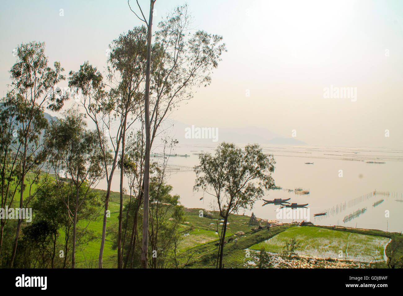 Paysage rural au Vietnam avec les champs de riz et la rivière. Banque D'Images