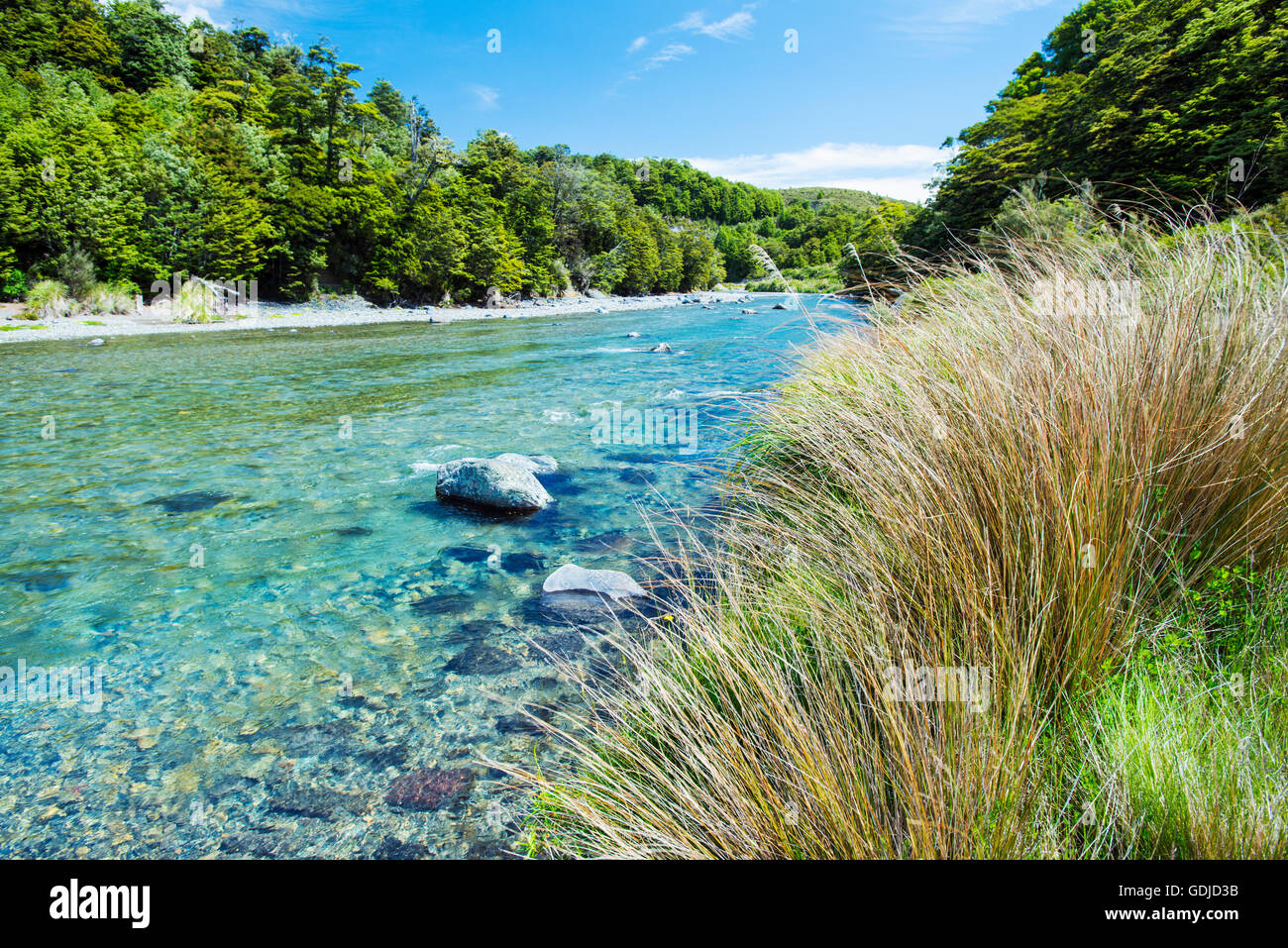 Le Tongariro River, North Island, New Zealand Banque D'Images