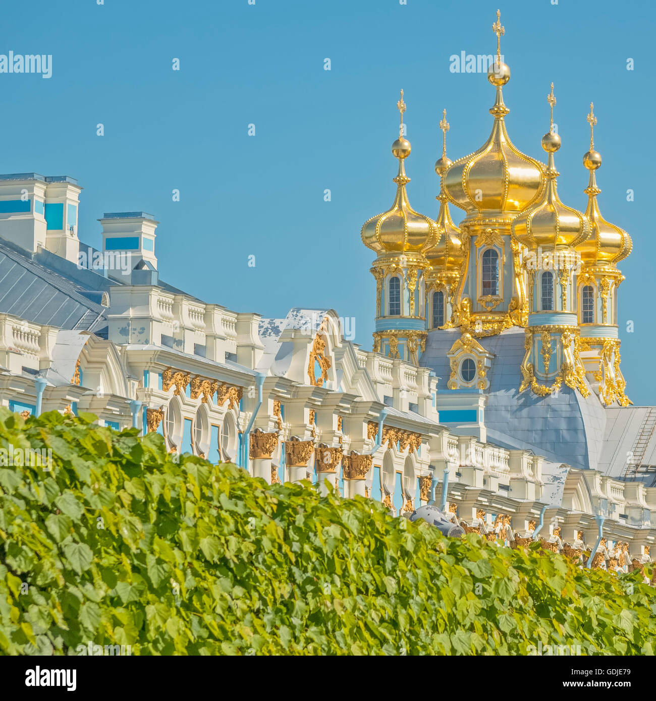 Dômes et toit du palais de Catherine Pushkin St Petersburg Russia Banque D'Images
