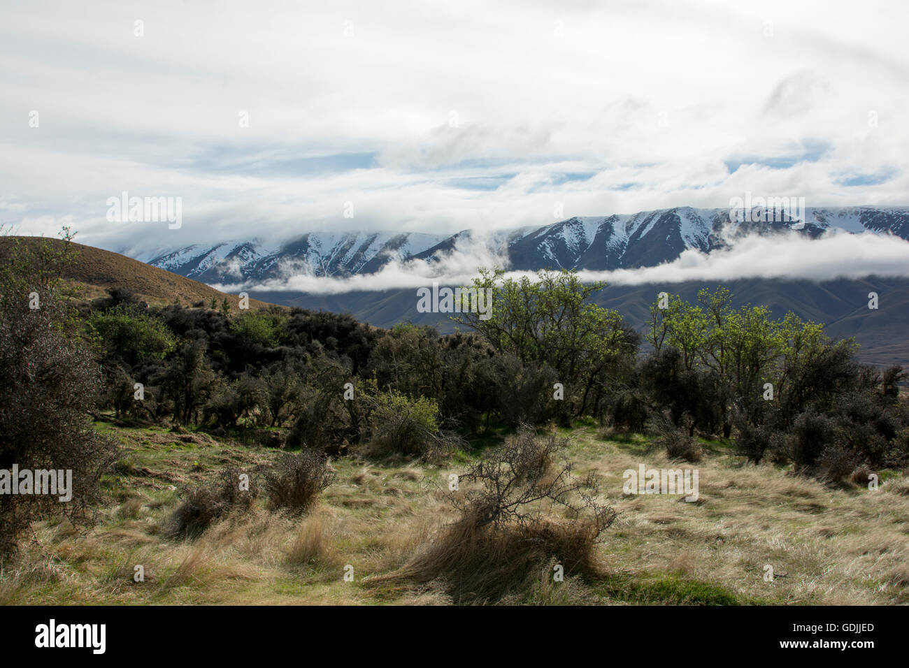 Le Oteake Conservation Park protège la partie la plus septentrionale de l'Otago Central avec ses terres à buttes de gazon dans un climat sec. Banque D'Images