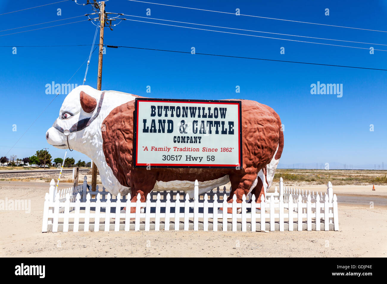 Buttonwillow Cattle Ranch Bovins buttonwillow Banque de photographies et d’images à haute ...
