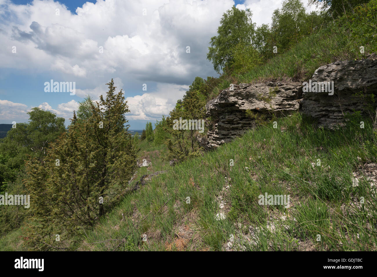 En pente de steppe Kremenets Hills (région de Ternopil, Ukraine). Rochers de grès calcaire. Le parc national 'Kremenetski Hory' Banque D'Images