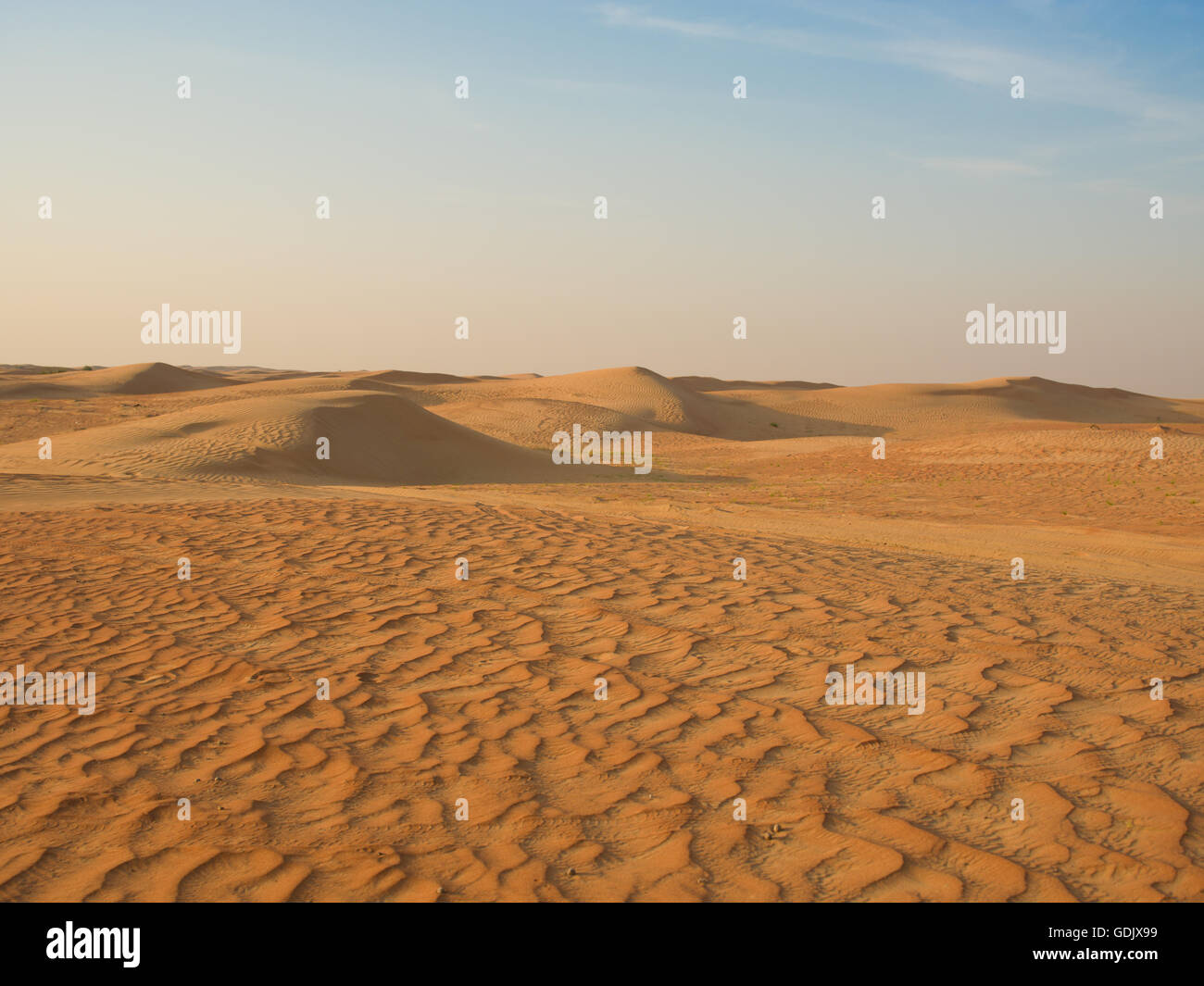 Margham, désert de dunes. Dubaï, Émirats arabes unis Banque D'Images