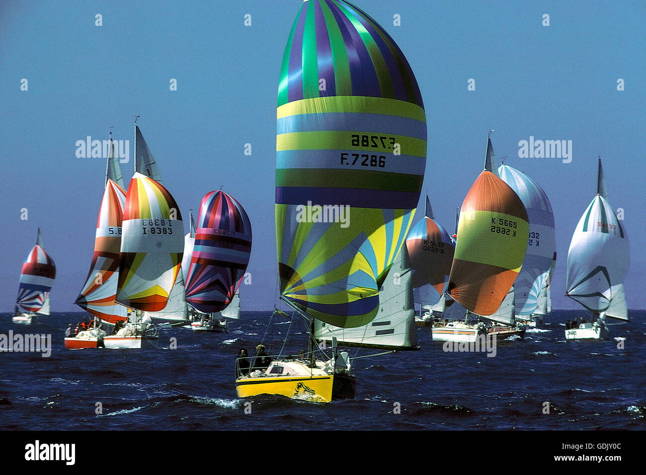 AJAXNETPHOTO. 1981. La baie de Poole, en Angleterre. - La moitié de Ton Cup 1981 - POOLE (GBR) - FLOTTE SOUS SPI. PHOTO:JONATHAN EASTLAND/AJAX REF:YAR 1 2   TON MONDE 1981 Banque D'Images