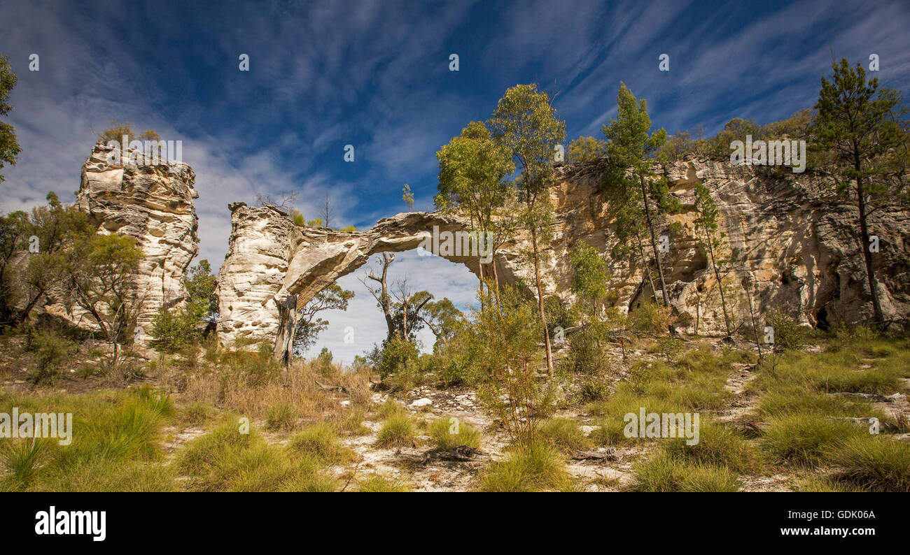 Imaatural panoramique sandstone arch à Mount Moffatt / Carnarvon National Park in Australian Outback paysage de touffes d'herbe et des arbres dans le ciel bleu Banque D'Images