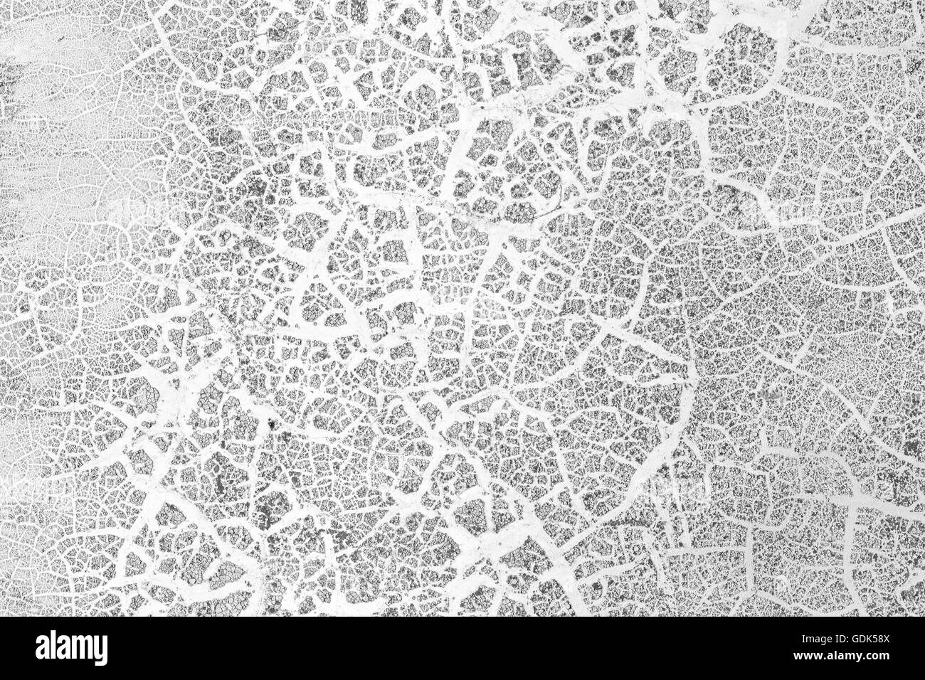 Mur de béton blanc Grunge Background Banque D'Images Mur de béton blanc Grunge Background Banque D'Images