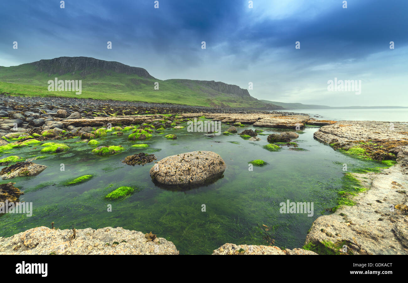 Marée basse pierres couvertes de mousse verte Banque D'Images