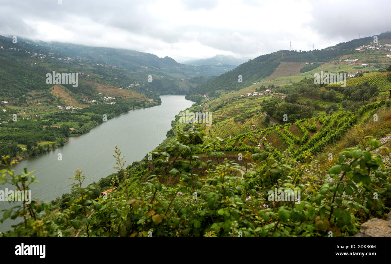 Domaine viticole du Douro, moyenne Vallée du Douro, vignoble, Panorama, Santa Cristina, district de Vila Real, Portugal, Europe, voyage, Banque D'Images