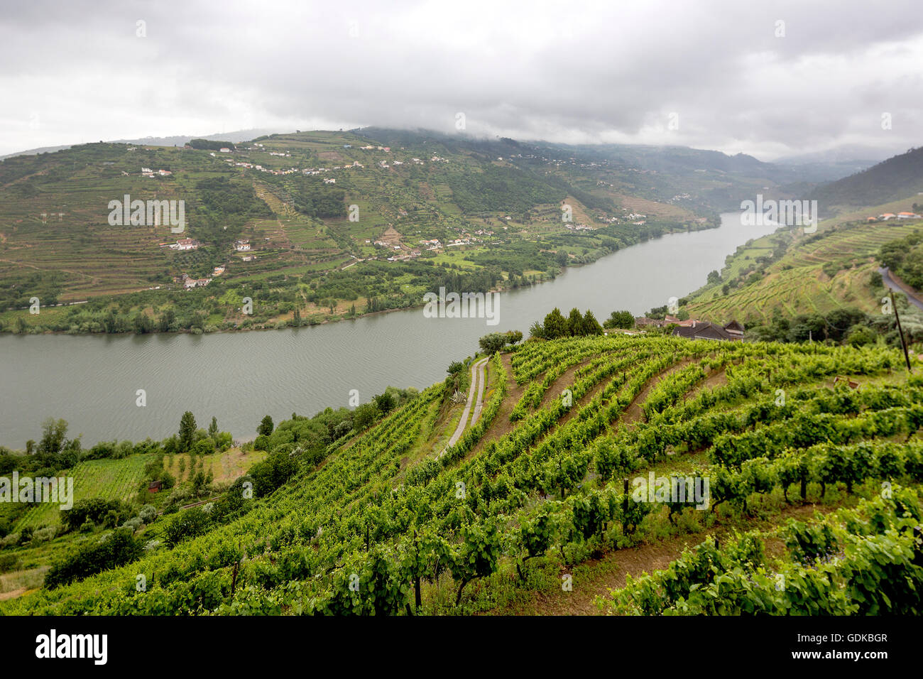 Domaine viticole du Douro, moyenne Vallée du Douro, vignoble, Panorama, Santa Cristina, district de Vila Real, Portugal, Europe, voyage, Banque D'Images