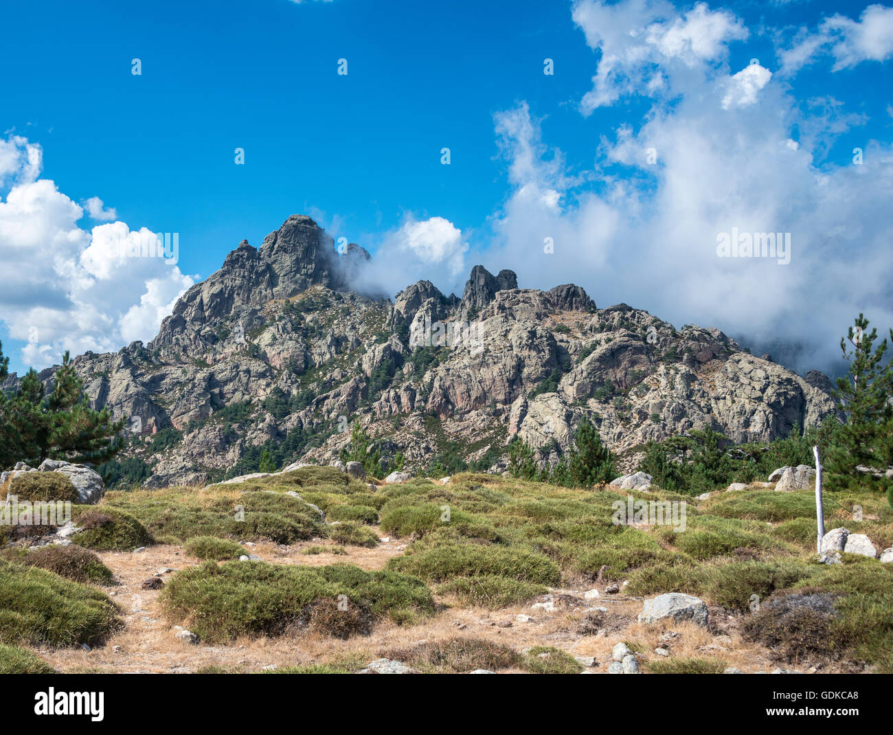Les falaises accidentées, Col de Bavella, massif de Bavella, Corse, France Banque D'Images