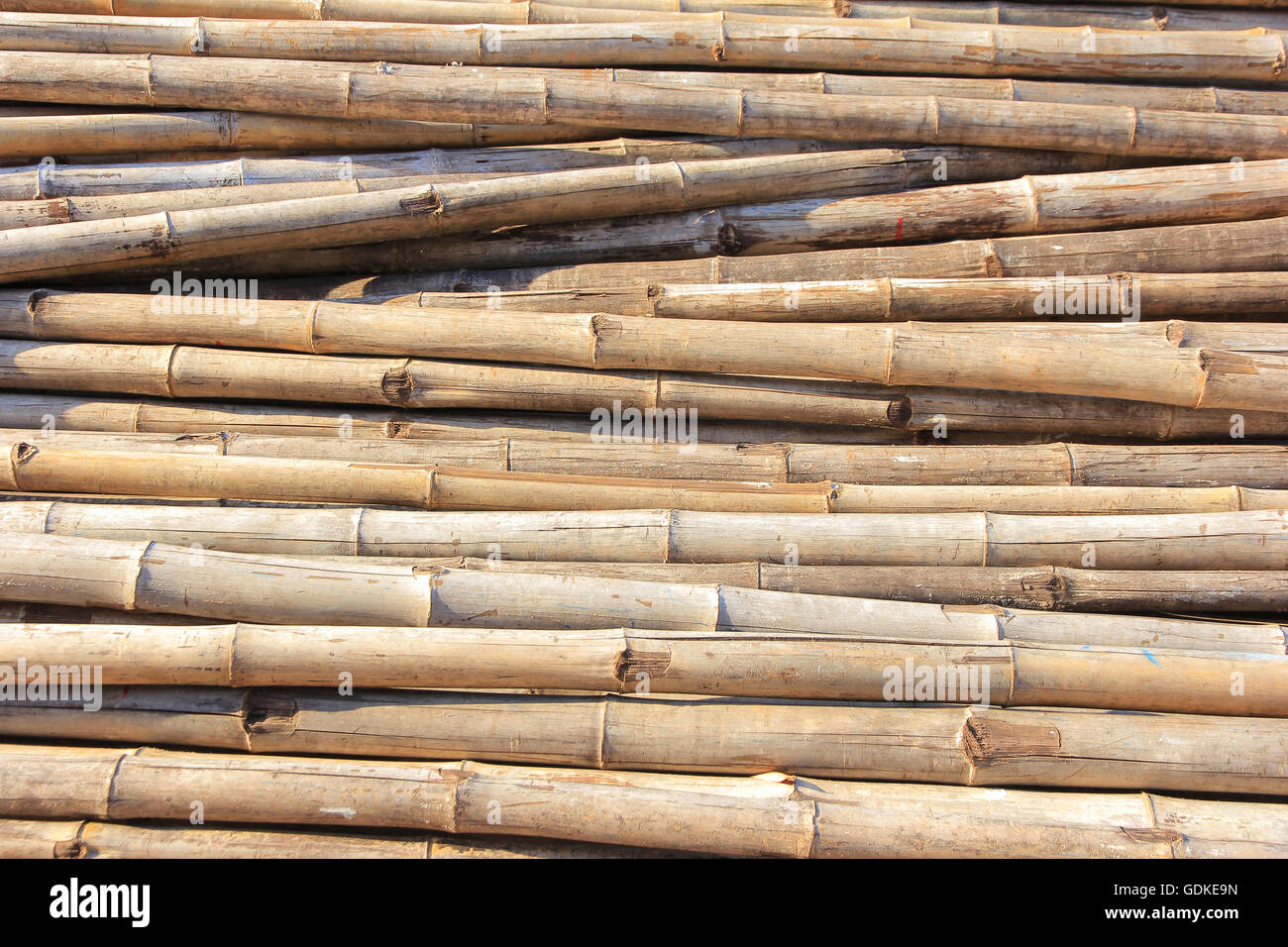 Le bambou utilisé dans la construction et pratique. Banque D'Images