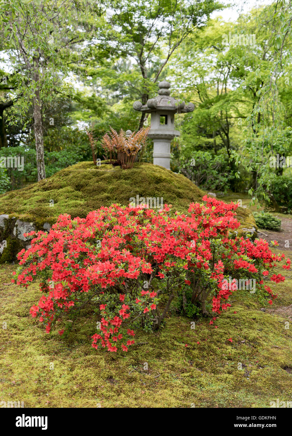 Jardin zen d'Shiseizen Tenryū-ji (Tenryu-ji temple bouddhiste), Kyoto, Japon Banque D'Images