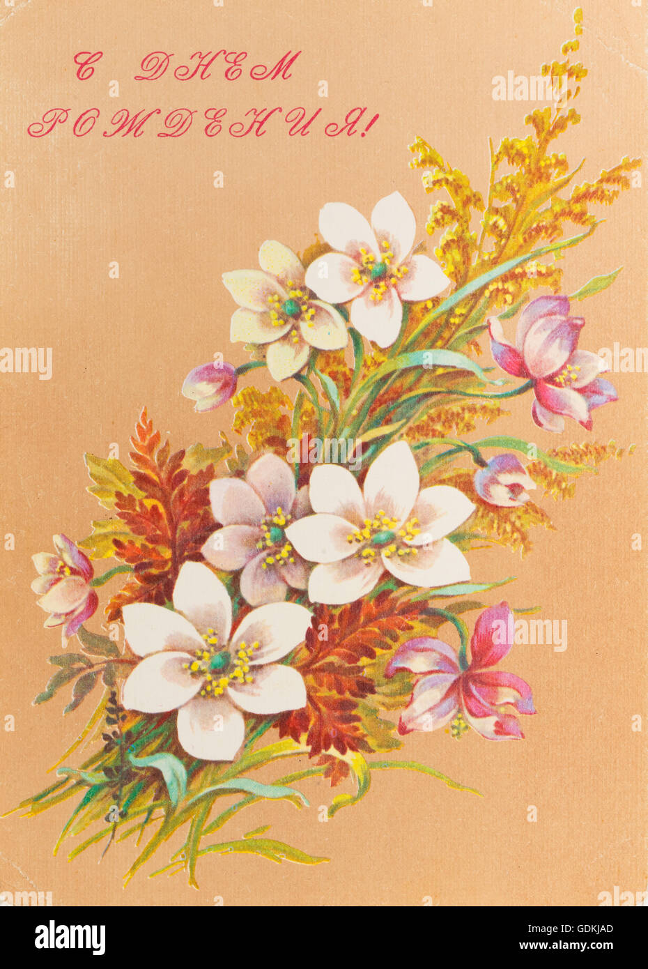 Vintage Happy Birthday Postcard Flowers Banque D Image Et Photos Alamy Vintage Happy Birthday Postcard Flowers Banque D Image Et Photos Alamy