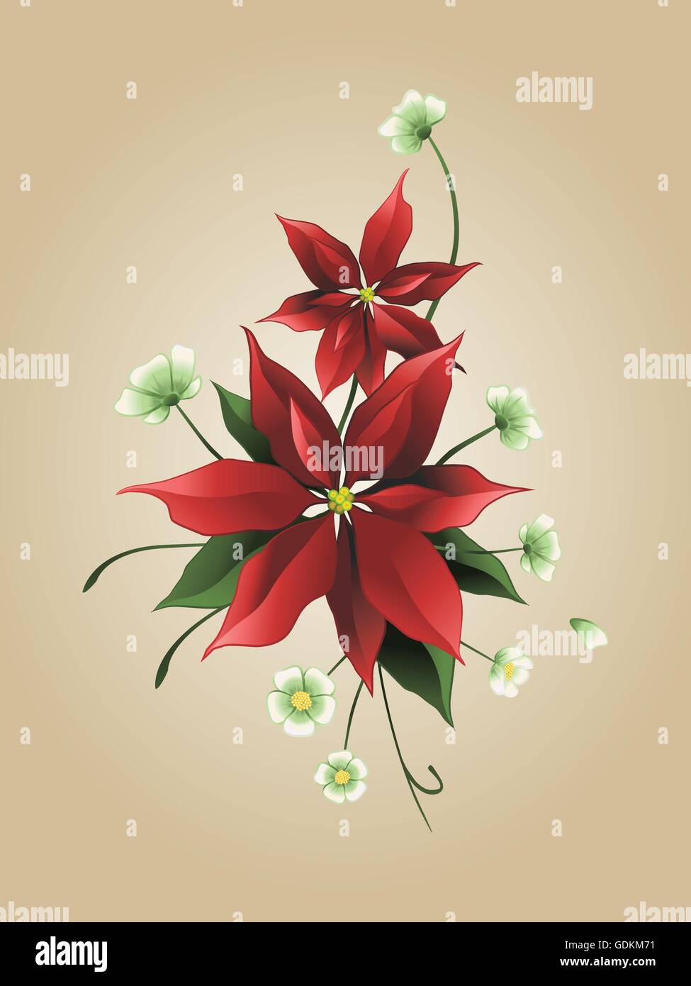 Poinsettia rouge fleur sur un fond sépia, carte de Noël Illustration de Vecteur