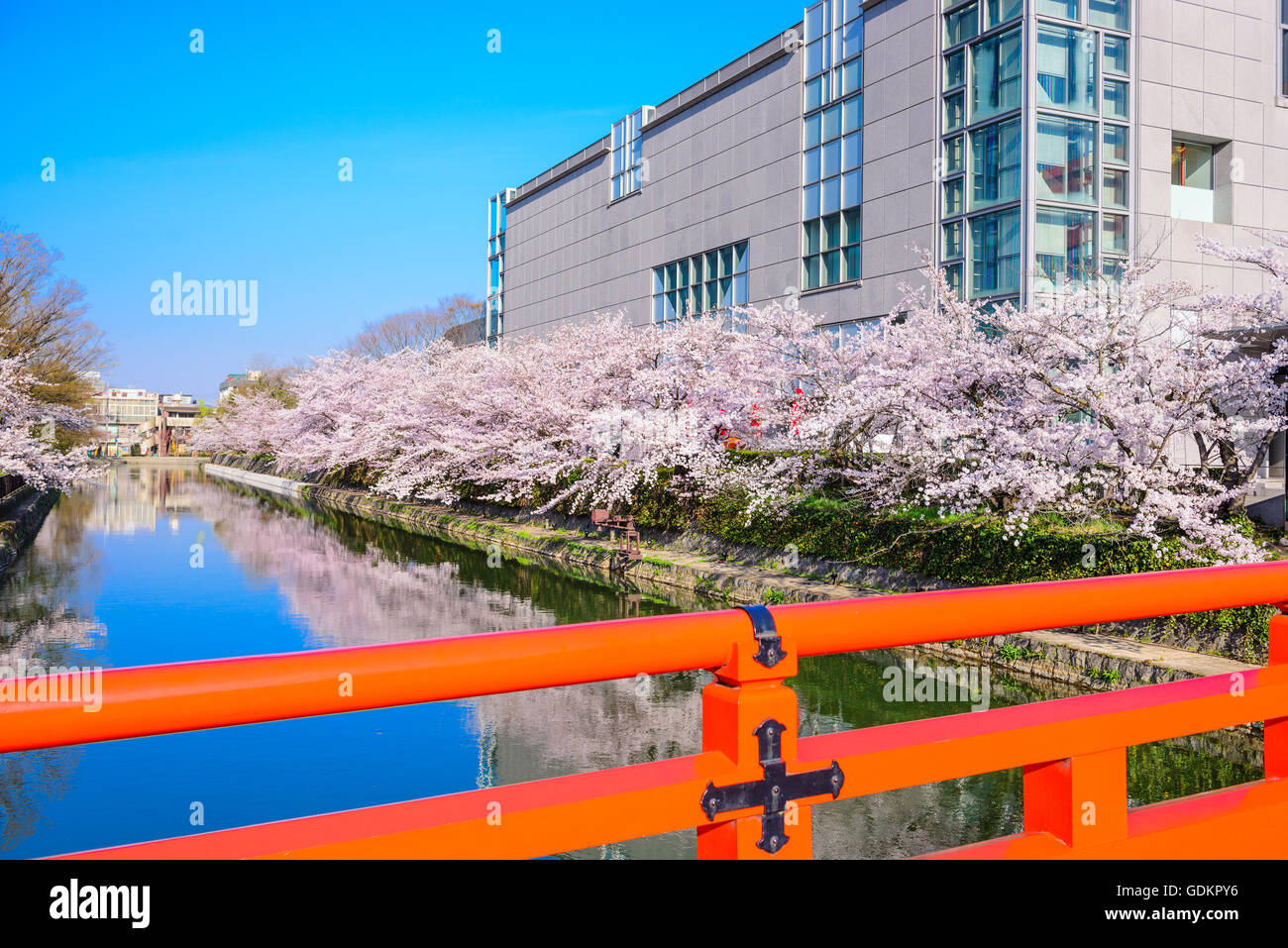 Kyoto, Japon à la fleur de cerisier bordé Canal Okazaki dans la saison du printemps. Banque D'Images