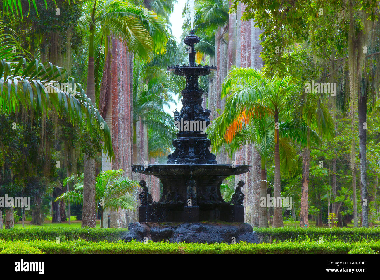 Jardim Botanico (jardin botanique) à Rio de Janeiro Banque D'Images