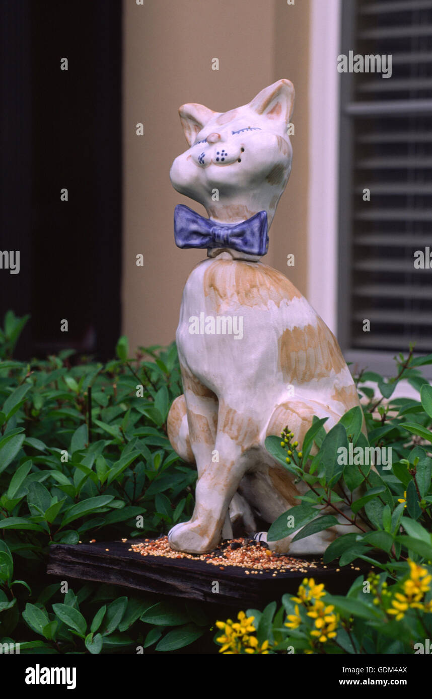 Mangeoire chat Banque D'Images