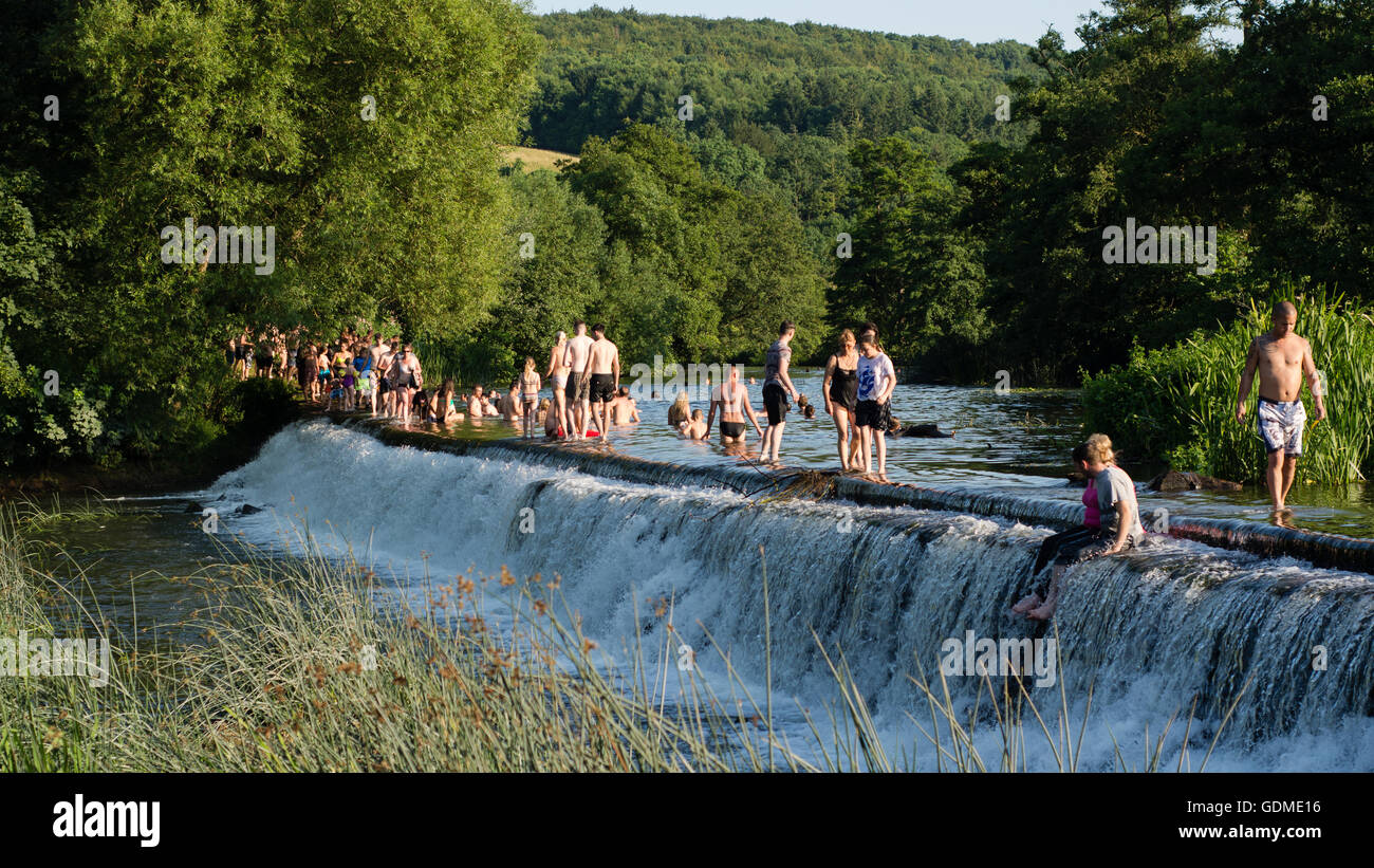 Les gens de nager dans la rivière Avon. Des centaines affluent à Warleigh Weir 3 miles de baignoire, sur la journée la plus chaude de l'année Banque D'Images