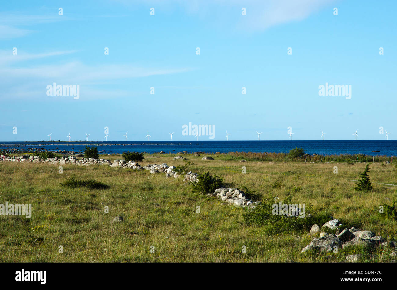 Les parcs éoliens offshore en mer Baltique vu de la côte de l'île suédoise Oland Banque D'Images