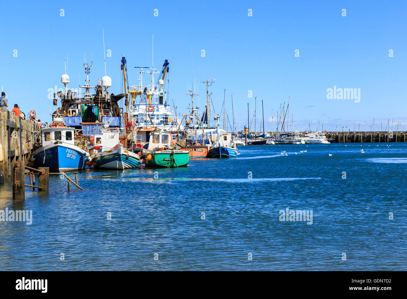Chalutier de pêche bateaux amarrés dans le port. Dans la région de Scarborough, North Yorkshire, Angleterre. Banque D'Images