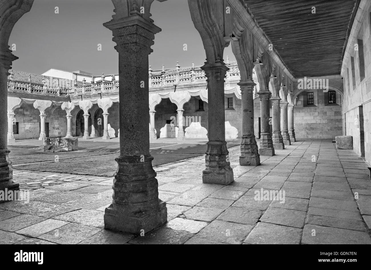 Salamanque, Espagne, Avril 18, 2016 : - l'atrium du patio baroque de l'Escuelas Menores - Université de Salamanque. Banque D'Images