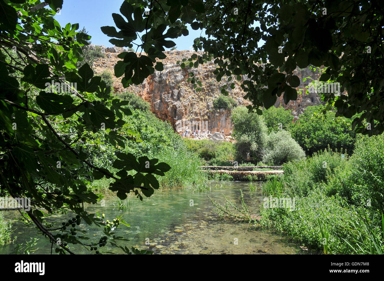 L'Hermon Stream réserve naturelle (Banias) Golan Israël Ce volet est l'une des sources du Jourdain Banque D'Images