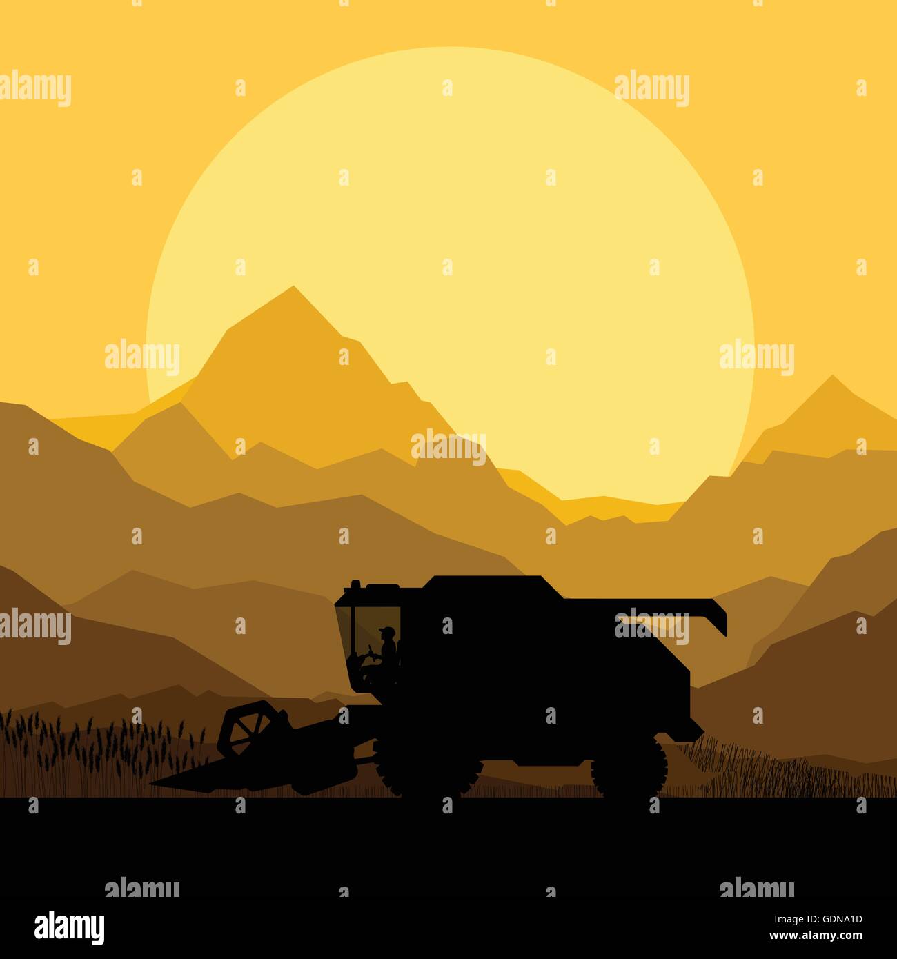 Combiner la récolte dans les champs de céréales background vector illustration Illustration de Vecteur