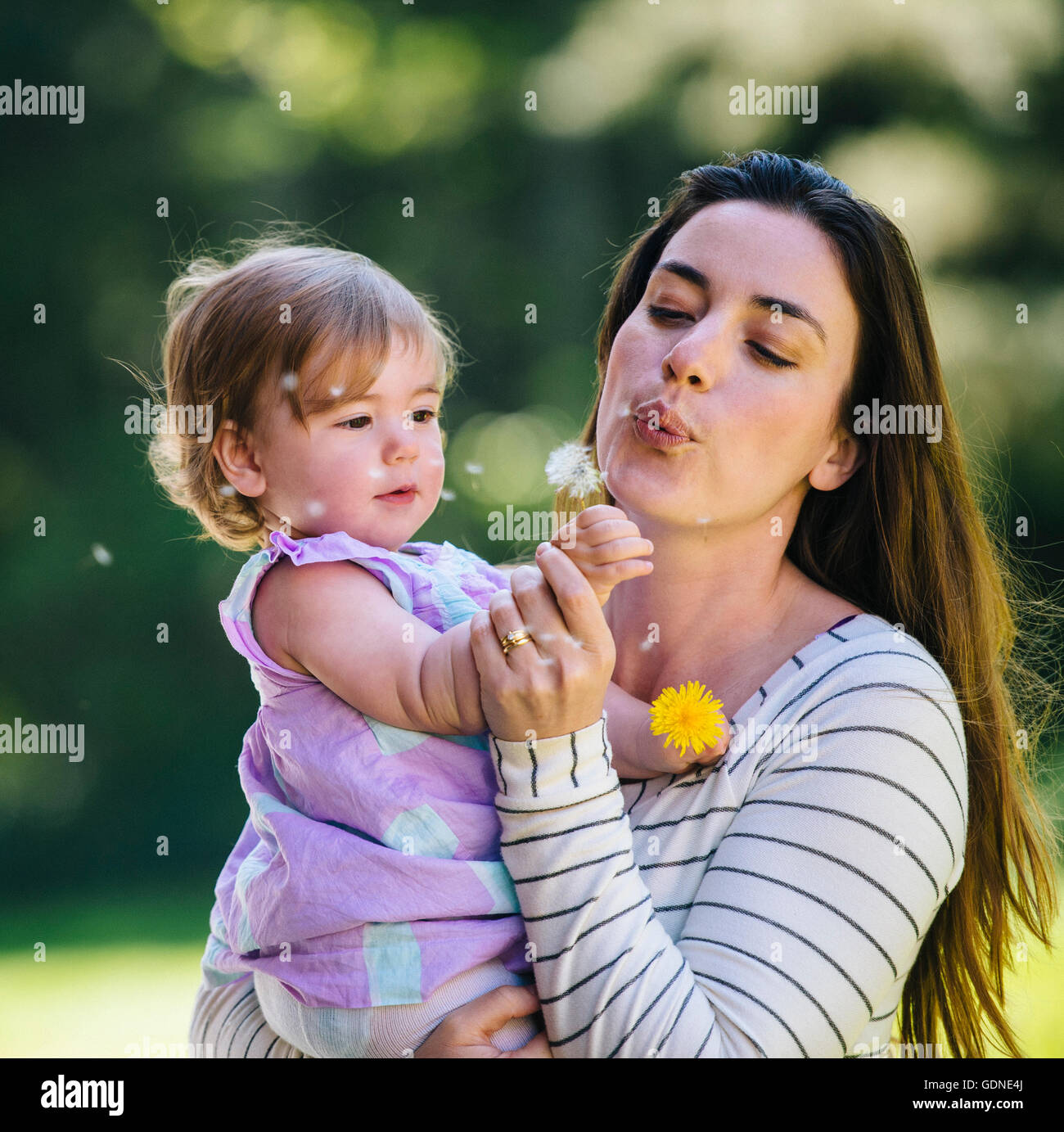 Femme et enfant fille blowing dandelion clock in park Banque D'Images