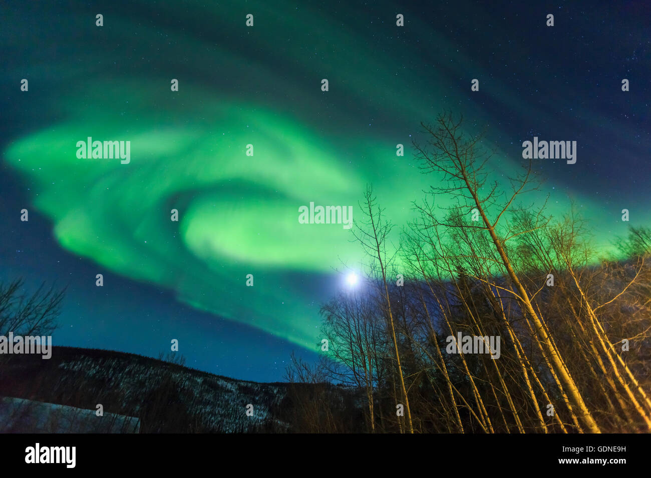 Aurora Borealis, Northern Lights près de Chena Resort, près de Fairbanks, Alaska Banque D'Images