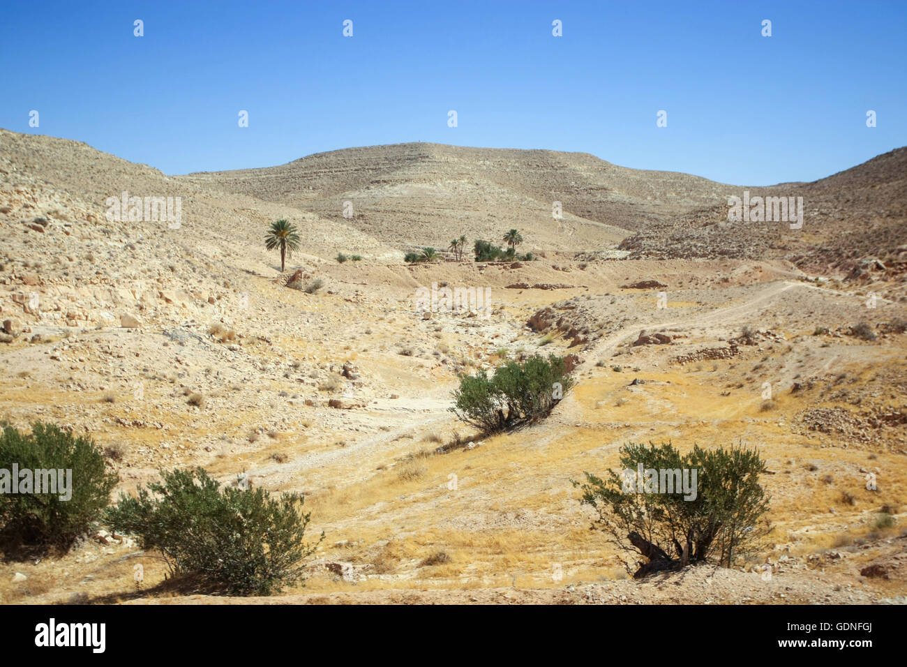 Le désert rocheux de Matmata dans le sud de la Tunisie. Matmata est célèbre pour ses grottes troglodytes. Banque D'Images