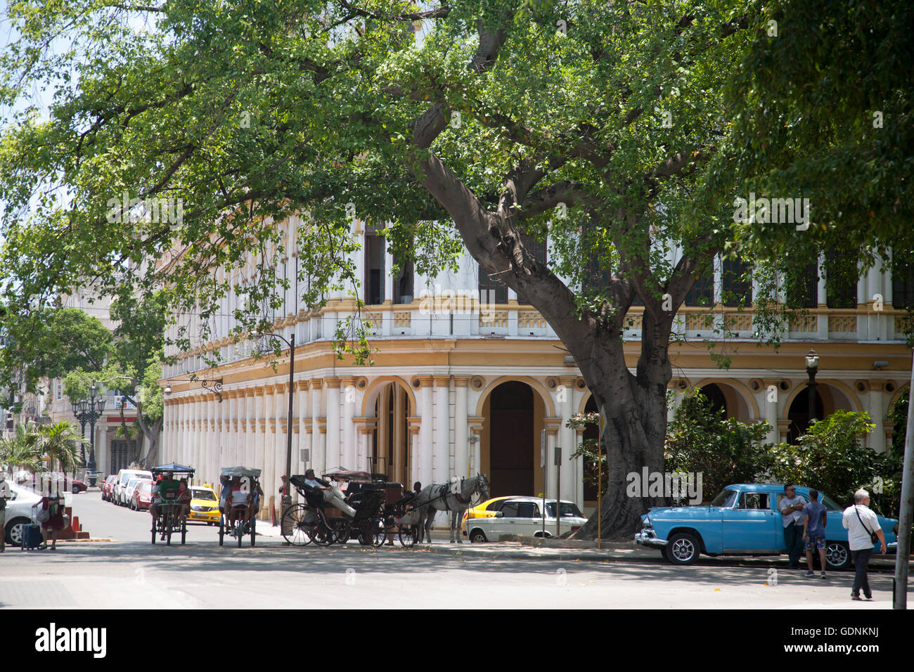 Scène de rue avec voiture classique, cheval et sa voiture, et les pousse-pousse au centre-ville de Habana Vieja, La Havane, Cuba Banque D'Images