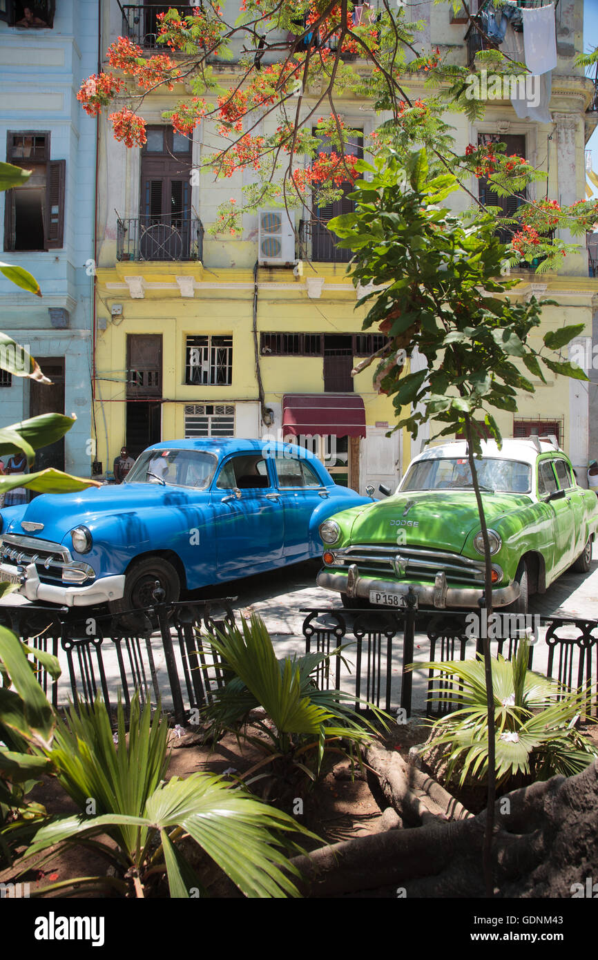 Classic cars garés dans une petite place arborée dans Habana Vieja, La Havane, Cuba Banque D'Images