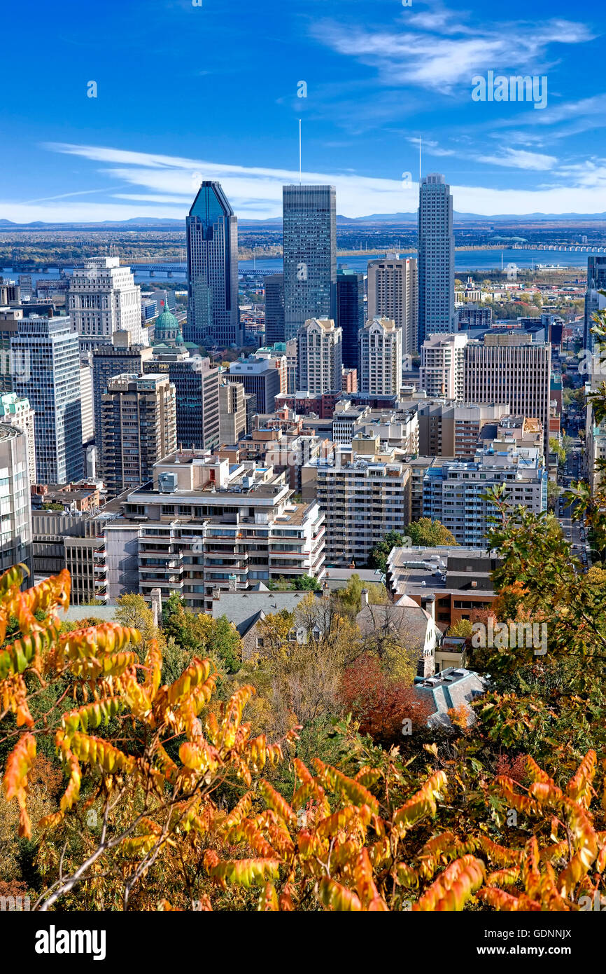 Ville de Montréal vue depuis le mont Royal Banque D'Images