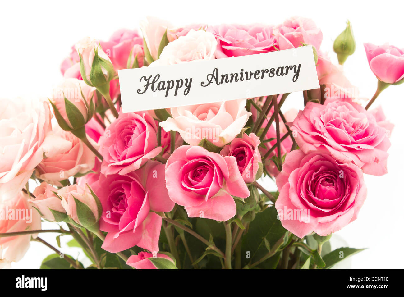 Carte heureux anniversaire avec bouquet de roses roses. Banque D'Images