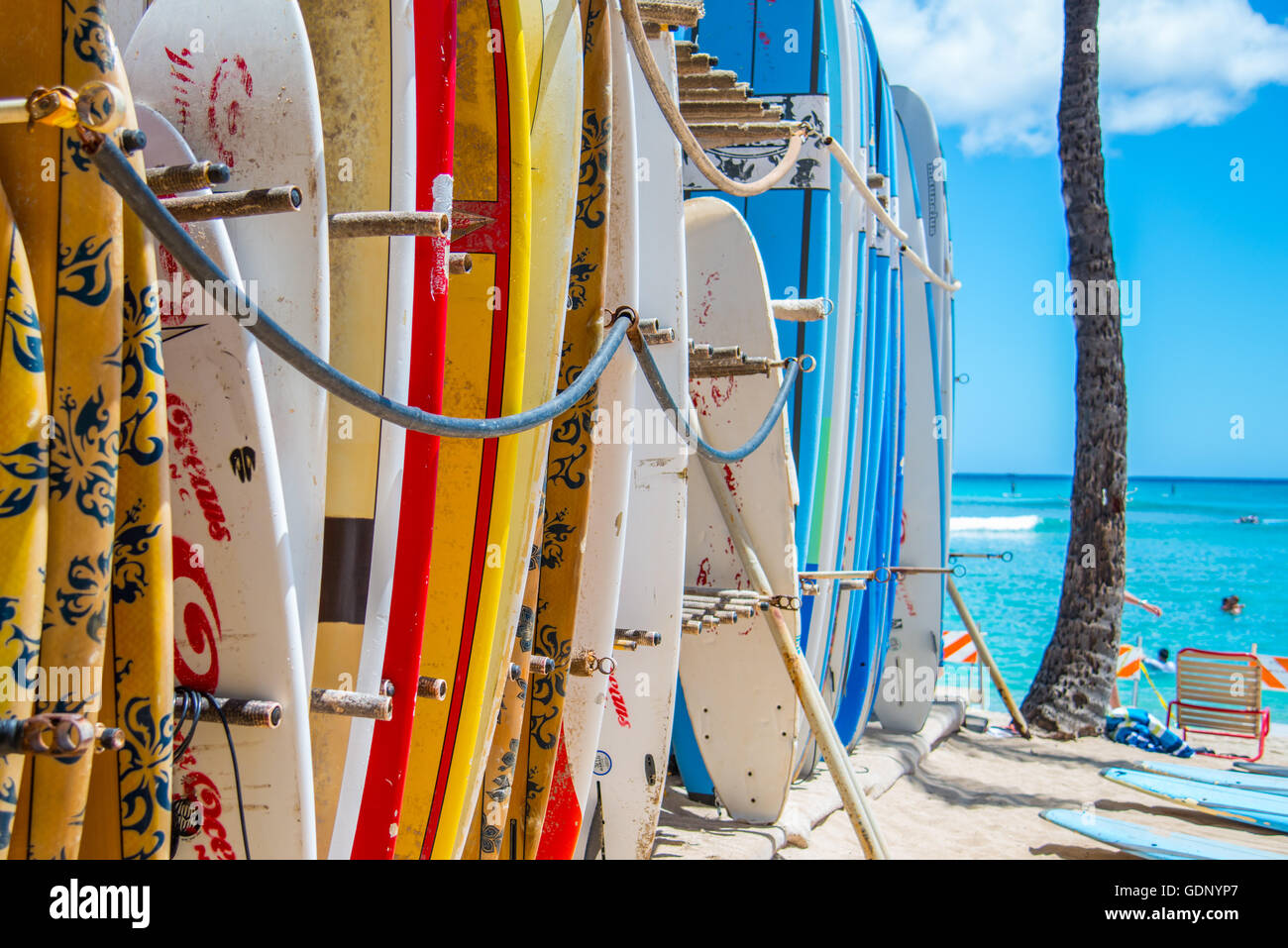 COR Surf Support Mural Planches Surf - Porte Planche Bambou Ou Bois Multiple Jusqu'à 3 Planches