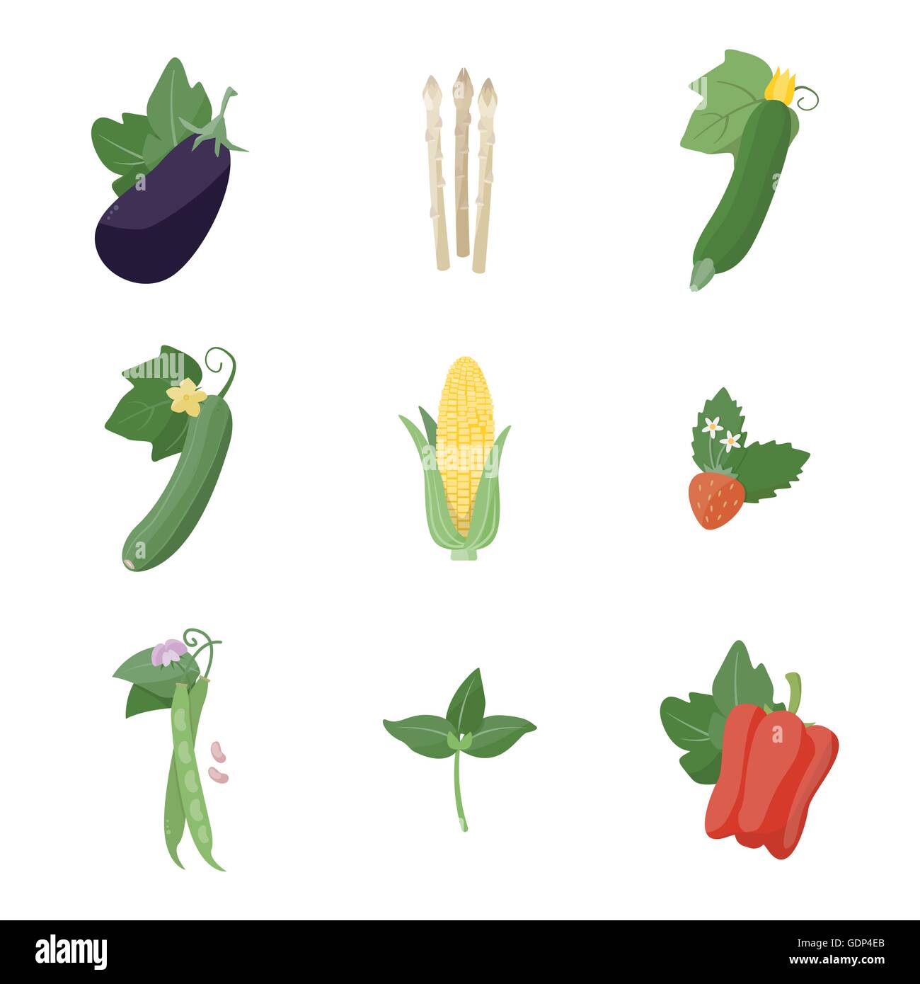 Les légumes frais du jardin situé sur fond blanc, y compris les aubergines, les asperges, courgettes, maïs, haricots, fraises, basilic et bel Illustration de Vecteur