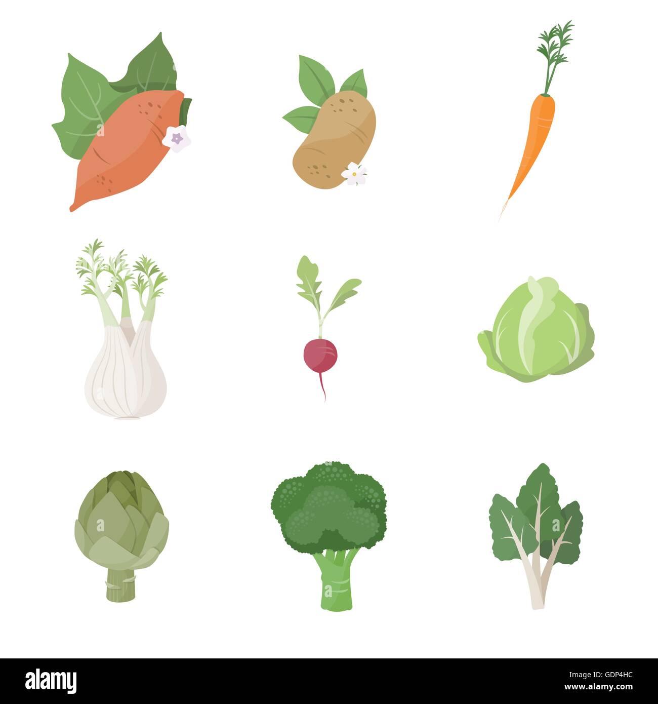 Les légumes frais du jardin situé sur fond blanc, notamment la patate douce, pomme de terre, carotte, fenouil, radis, choux, artichauts, bro Illustration de Vecteur