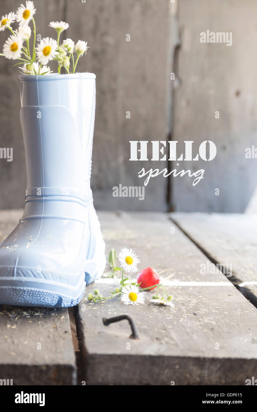 Bonjour l'automne, Daisy et bottes vintage sur une table, Banque D'Images