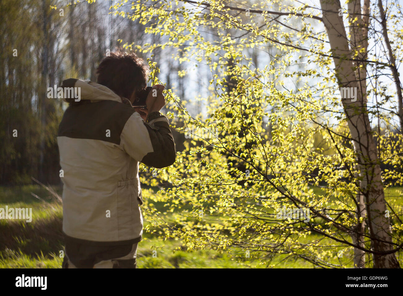 Vue arrière de la forêt ensoleillée man Banque D'Images