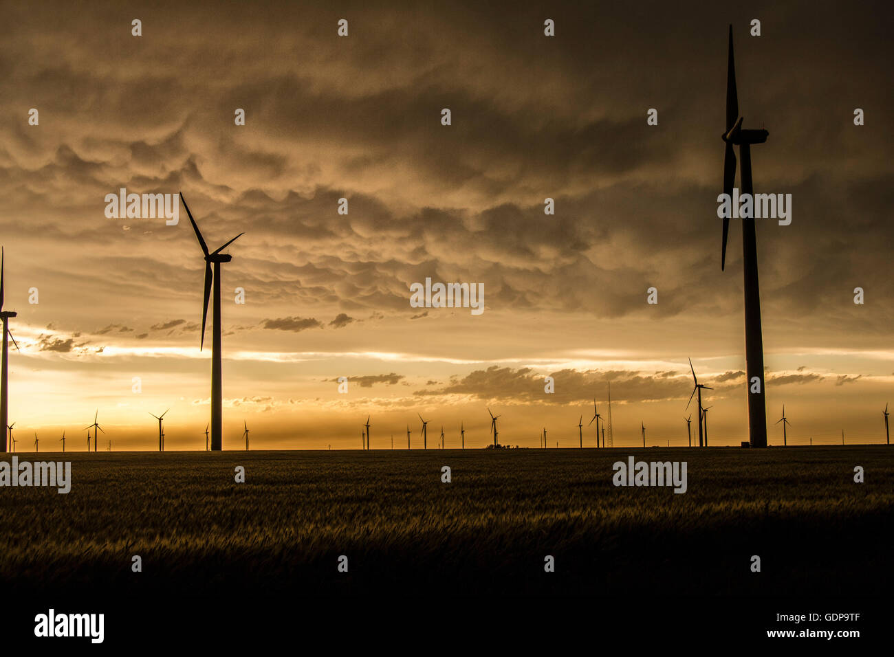 Les nuages Mammatus et lumière sur wind farm in Kansas rural Banque D'Images
