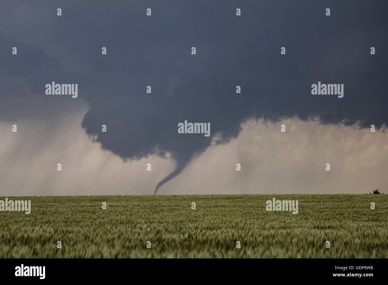 Tornado avec entonnoir nuageux se déplaçant à travers plaines Banque D'Images