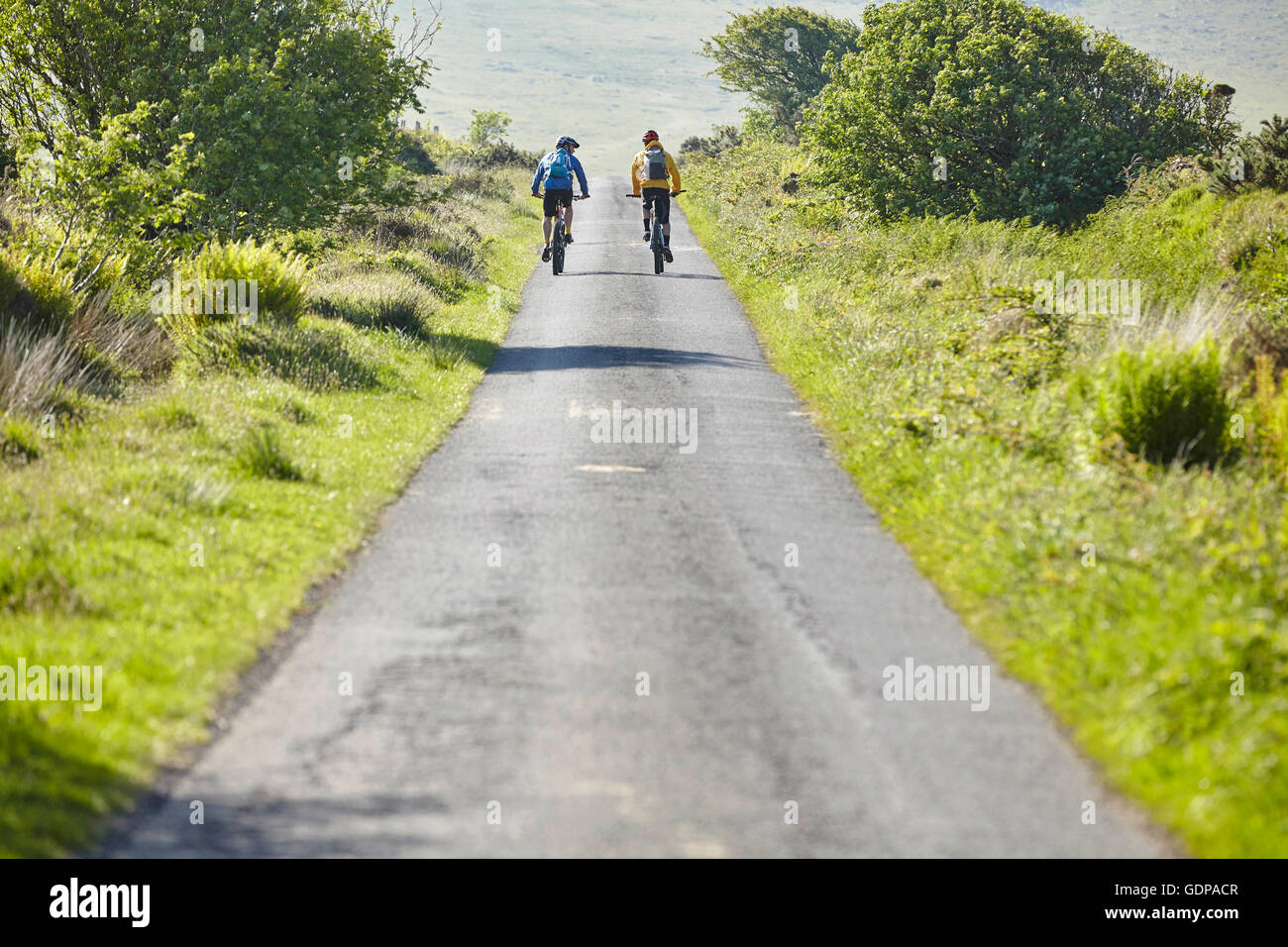 Vue arrière du vélo cyclistes on rural road Banque D'Images