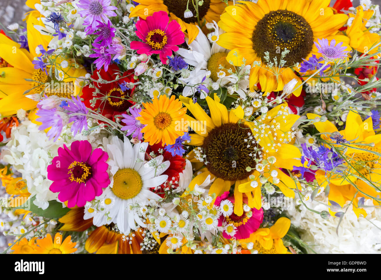Close up of bouquet de fleurs. Banque D'Images