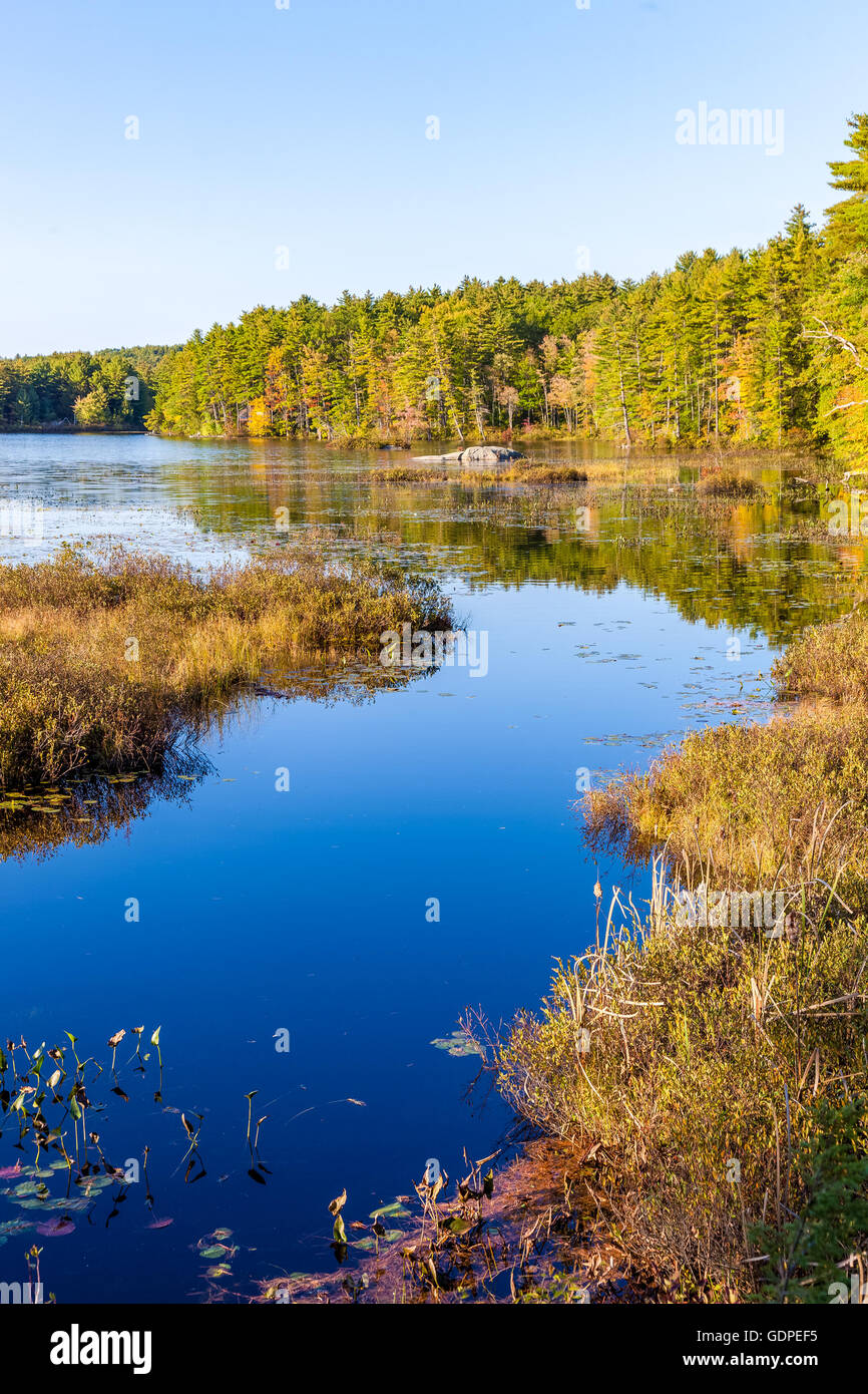 Paysage lac canadien Banque D'Images