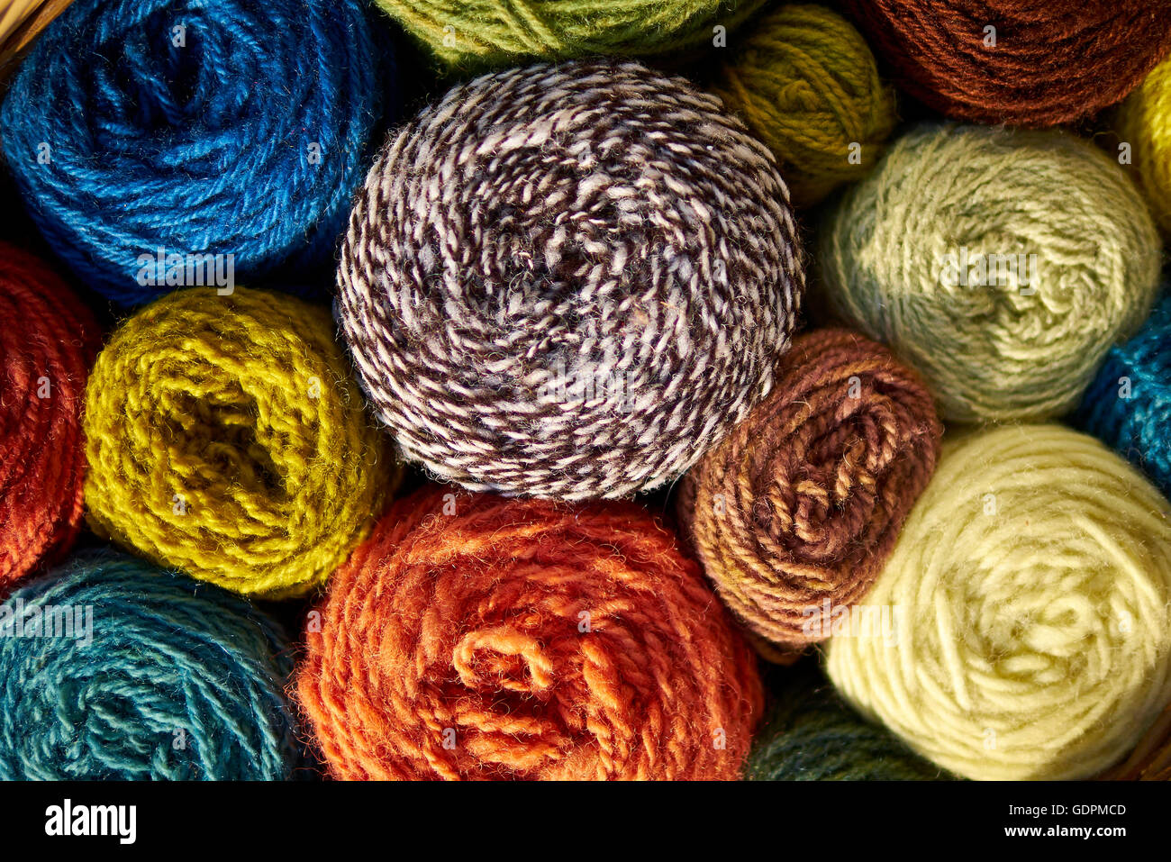 Anglais teints naturellement la laine des moutons. Pour les teints de  couleur ocre de l'usine Photo Stock - Alamy